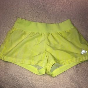 Adidas Climalite Athletic Shorts